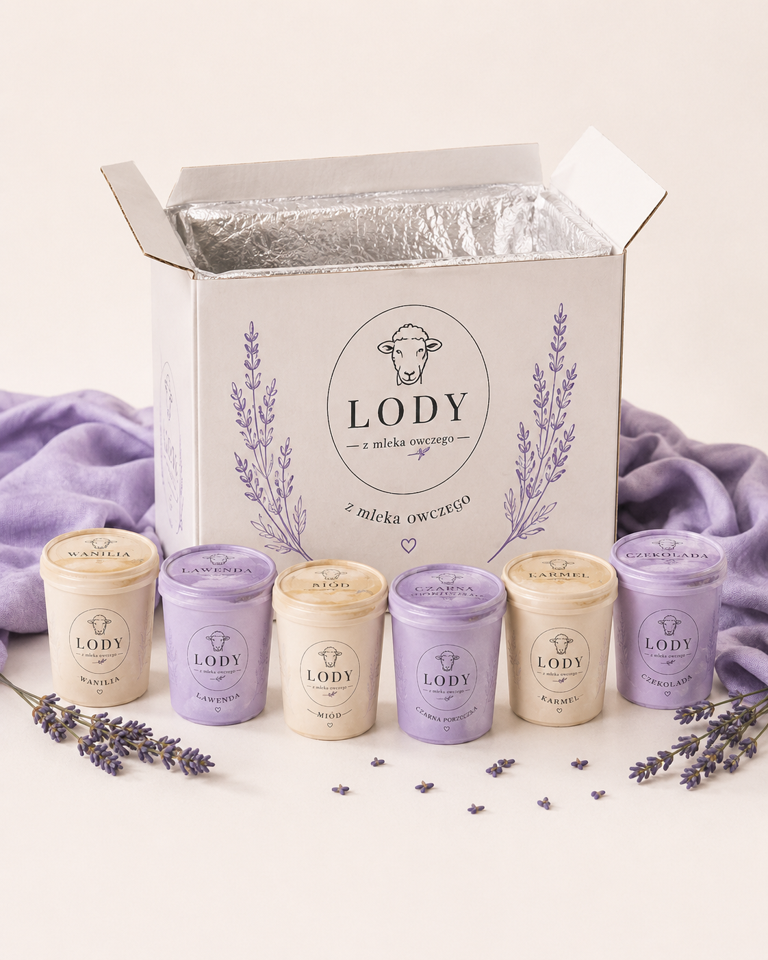 Boks premium lodów rzemieślniczych 6 smaków
