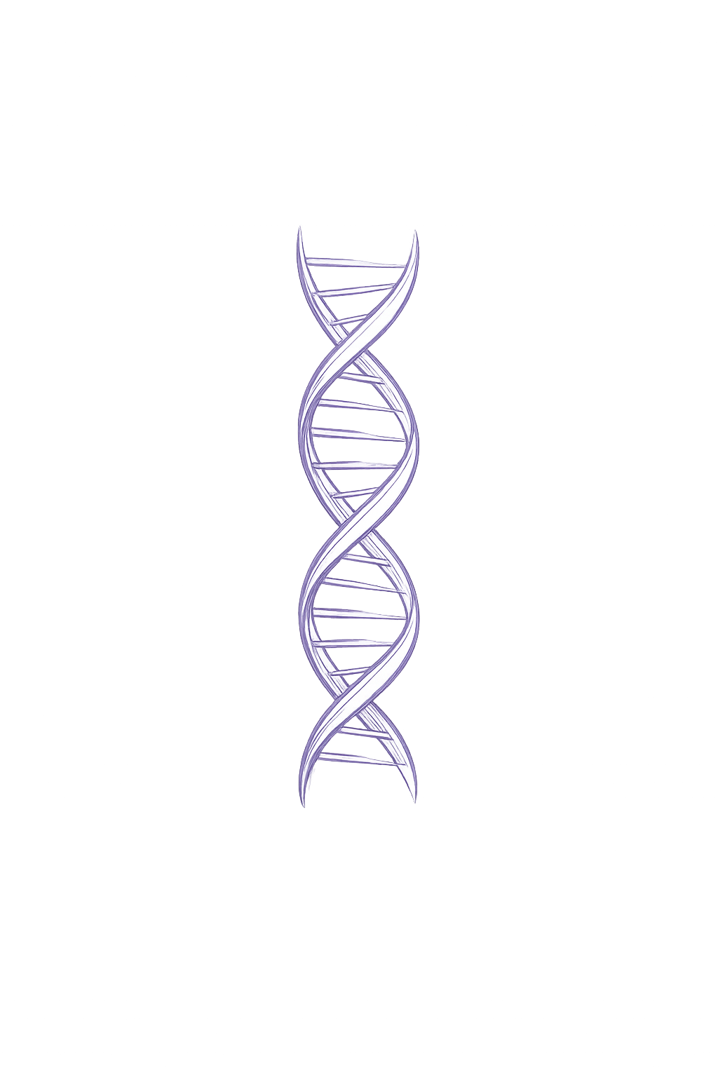 DNA marki Lodów Owczych